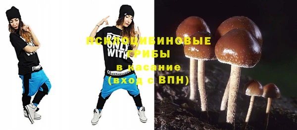 круглые Алексеевка