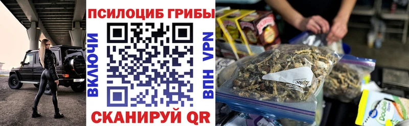 дарнет шоп  Сим  Галлюциногенные грибы GOLDEN TEACHER 